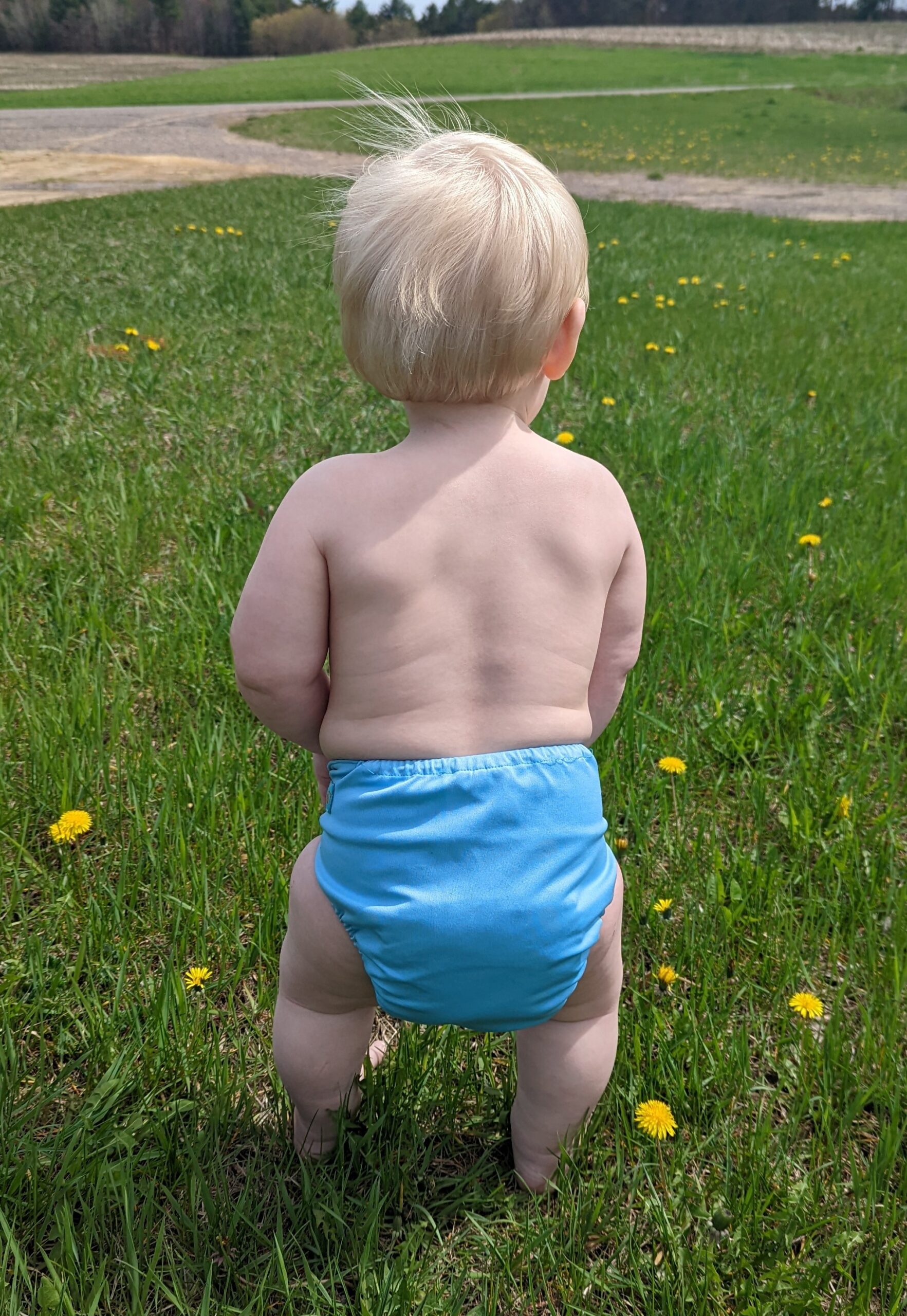 A baby in a cloth diaper standing on a grassy lawn with dandelions.