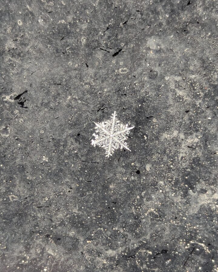 A closeup view of a snowflake on a car window.