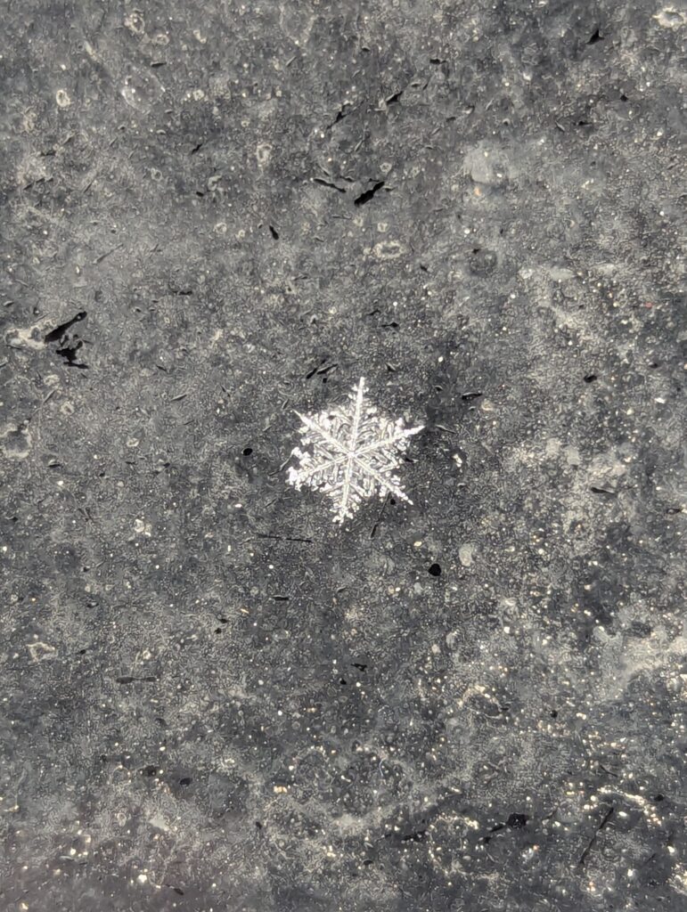 A closeup view of a snowflake on a car window.